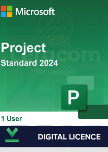 Microsoft Project Standard 2024 WIN ALL (1)